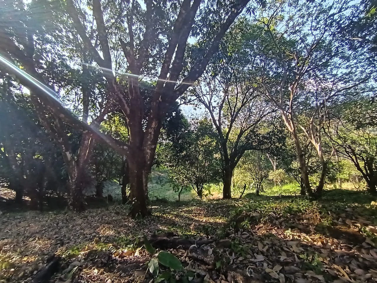 Property for sale in Ciudad Colon San José Costa Rica - Gallery image 6
