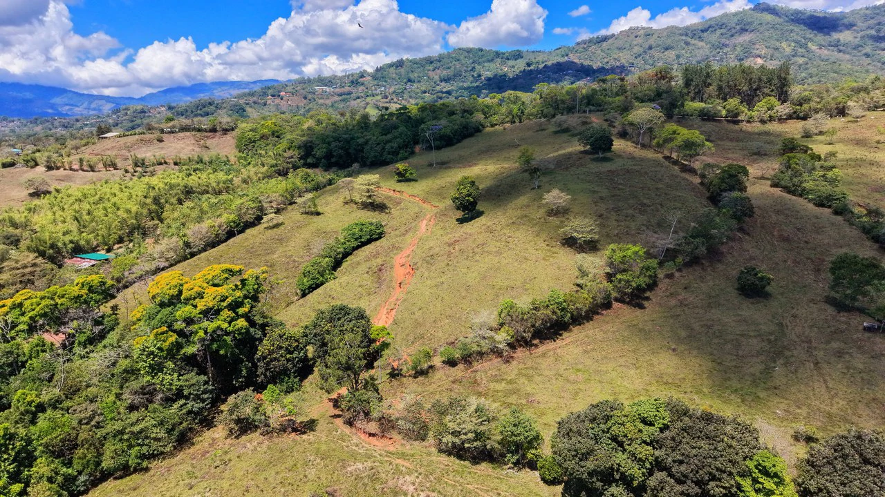 Agricultural Land For Sale in MORAZAN