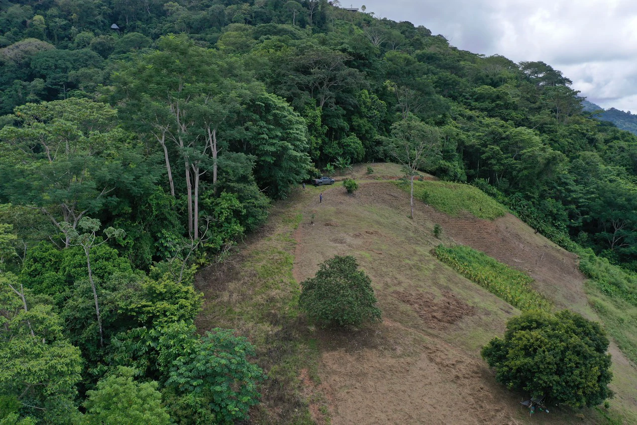 137 Acre Ocean View Farm with Riverfront in Southern Costa Rica - Gallery image 22