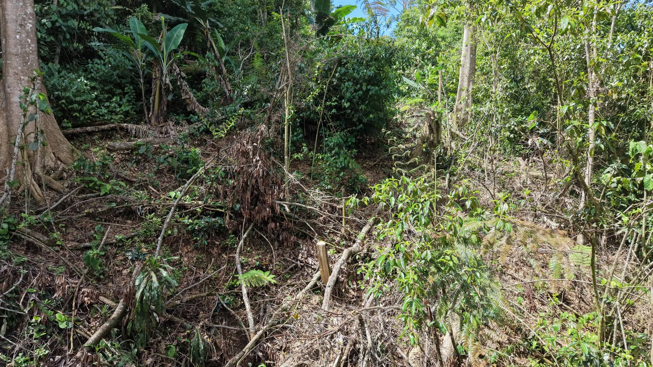 Mountain Home Construction Site For Sale in San Isidro del General - photo 5