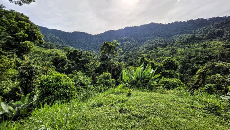 Waterfall Estate, Dos Bocas, Dominical Featuring Twin Waterfalls, Springs, Creeks & Rivers - Gallery image 11