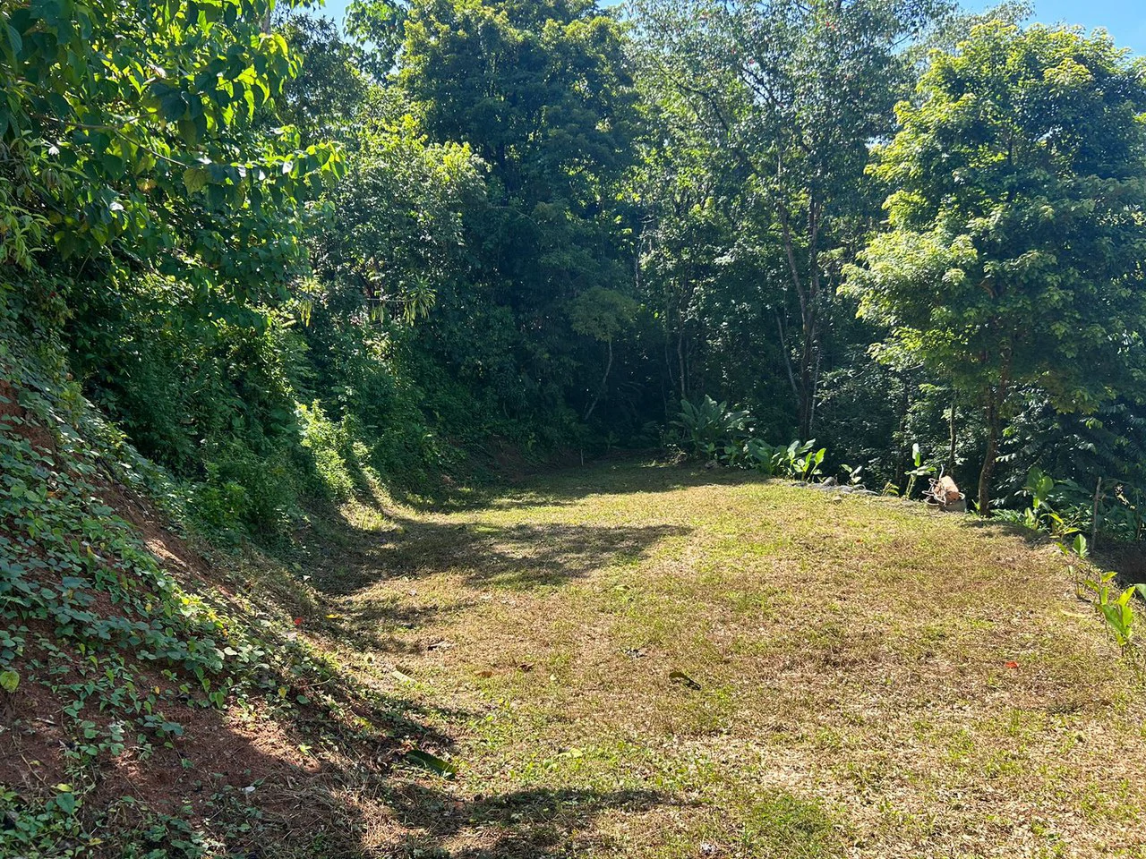 Reasonable Lot for sale in Uvita - Gallery image 11