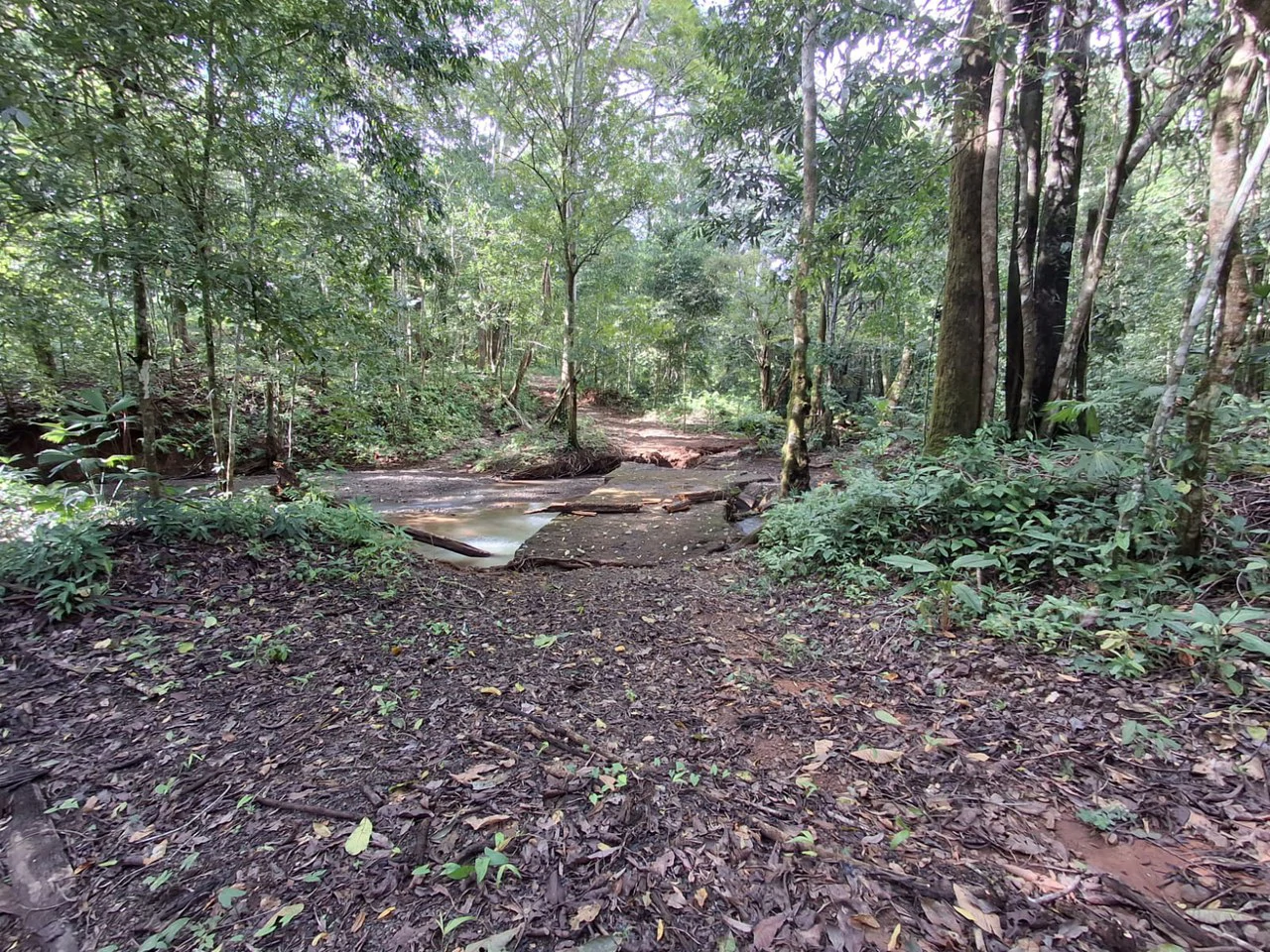 Hilltop Ocean Paradise: 10 ha (103,600m2) for private compound or development - Gallery image 10