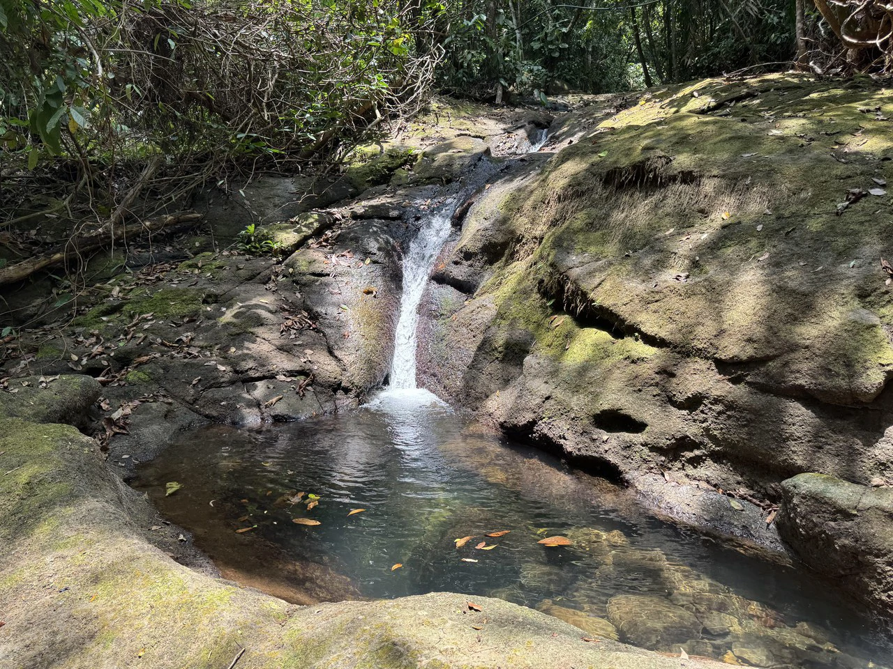 50 Acre Waterfall and River Paradise Above Dominical - Gallery image 39