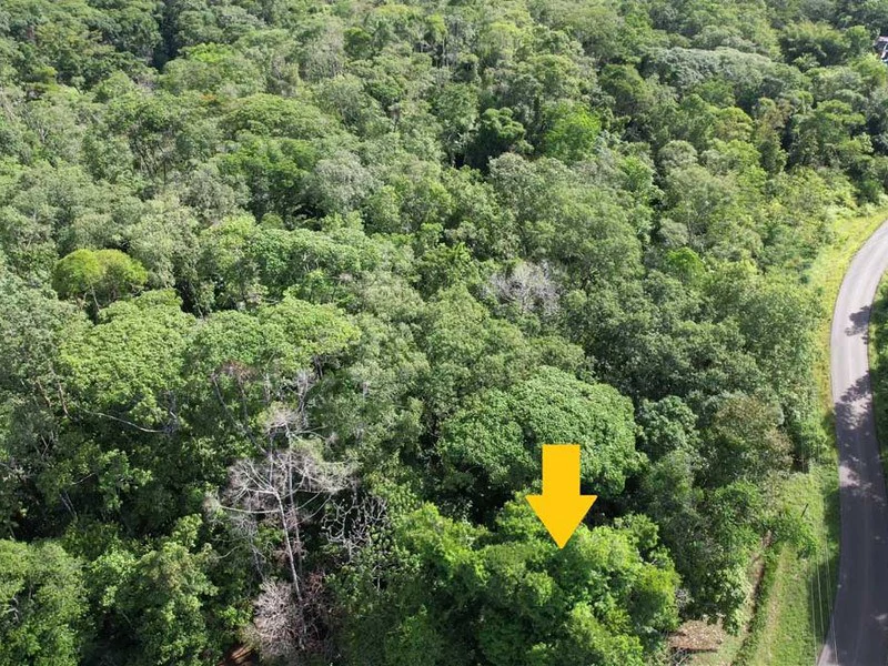 2.47 Acres Property | Mountain Top Ocean View lot in Bahía Chal - Gallery image 9