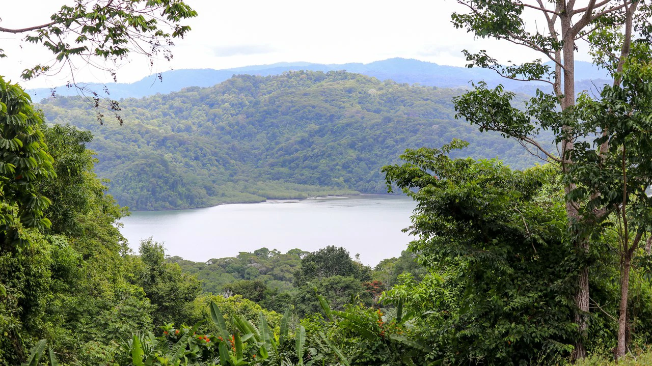 Unique Development Property Overlooking the Pristine Golfito Bay and Golfo Dulce - Gallery image 9
