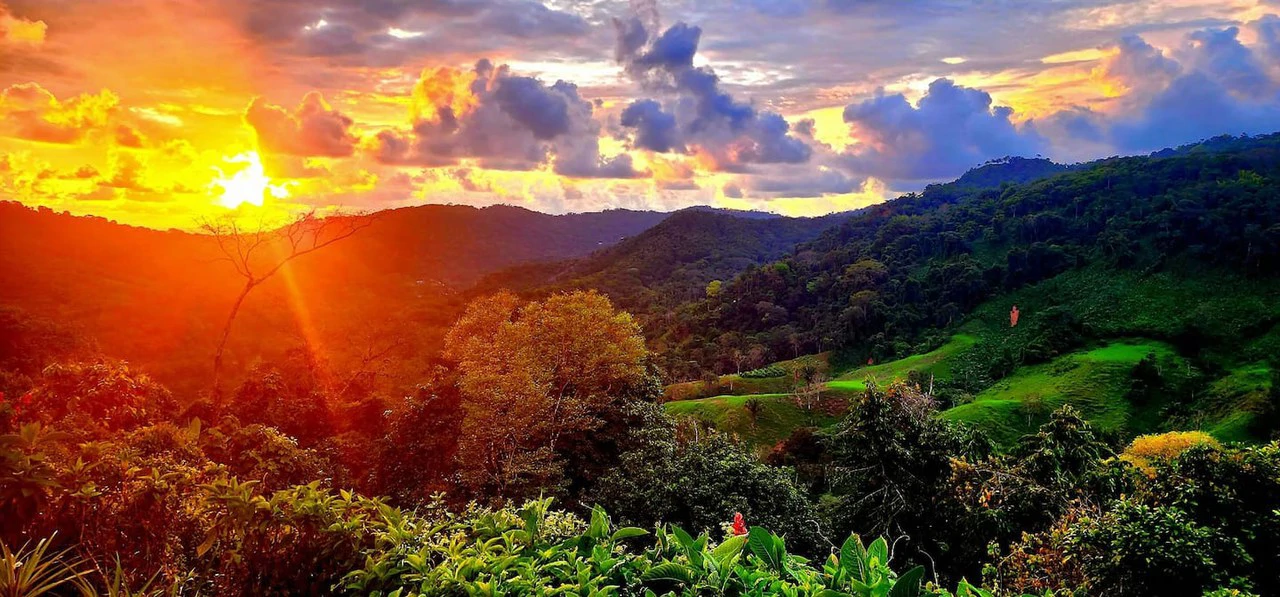 2.8 ACRES – 10 Income Producing Condos with a Pool and Spectacular Ocean and Mountain Views! Gated Community of Cascada Azul, 15min to Dominical Beach!!!: Near the Coast, Mountain and Countryside Apar - Gallery image 21