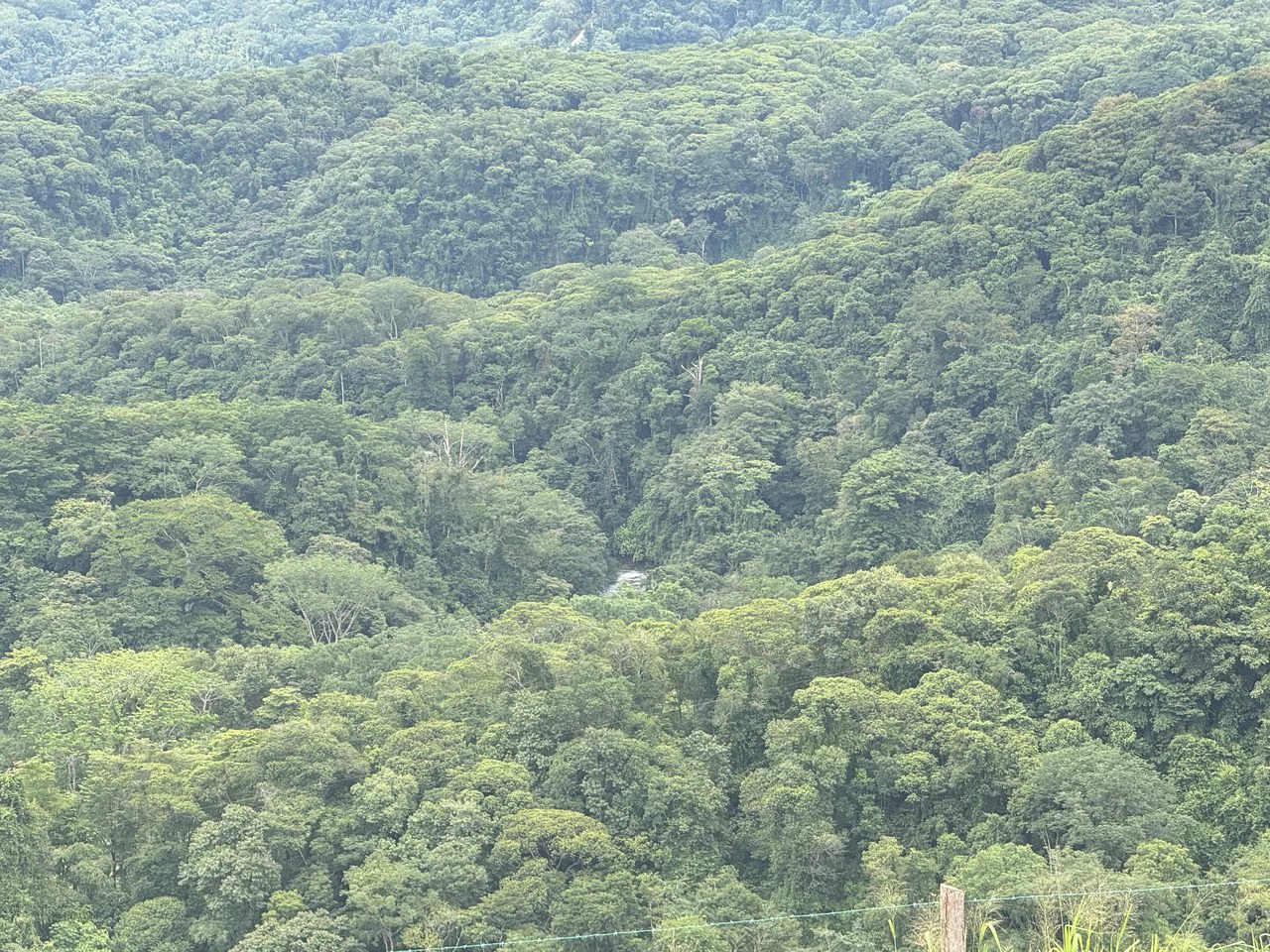 Playa Dominical Mountain Farming Property - Gallery image 19