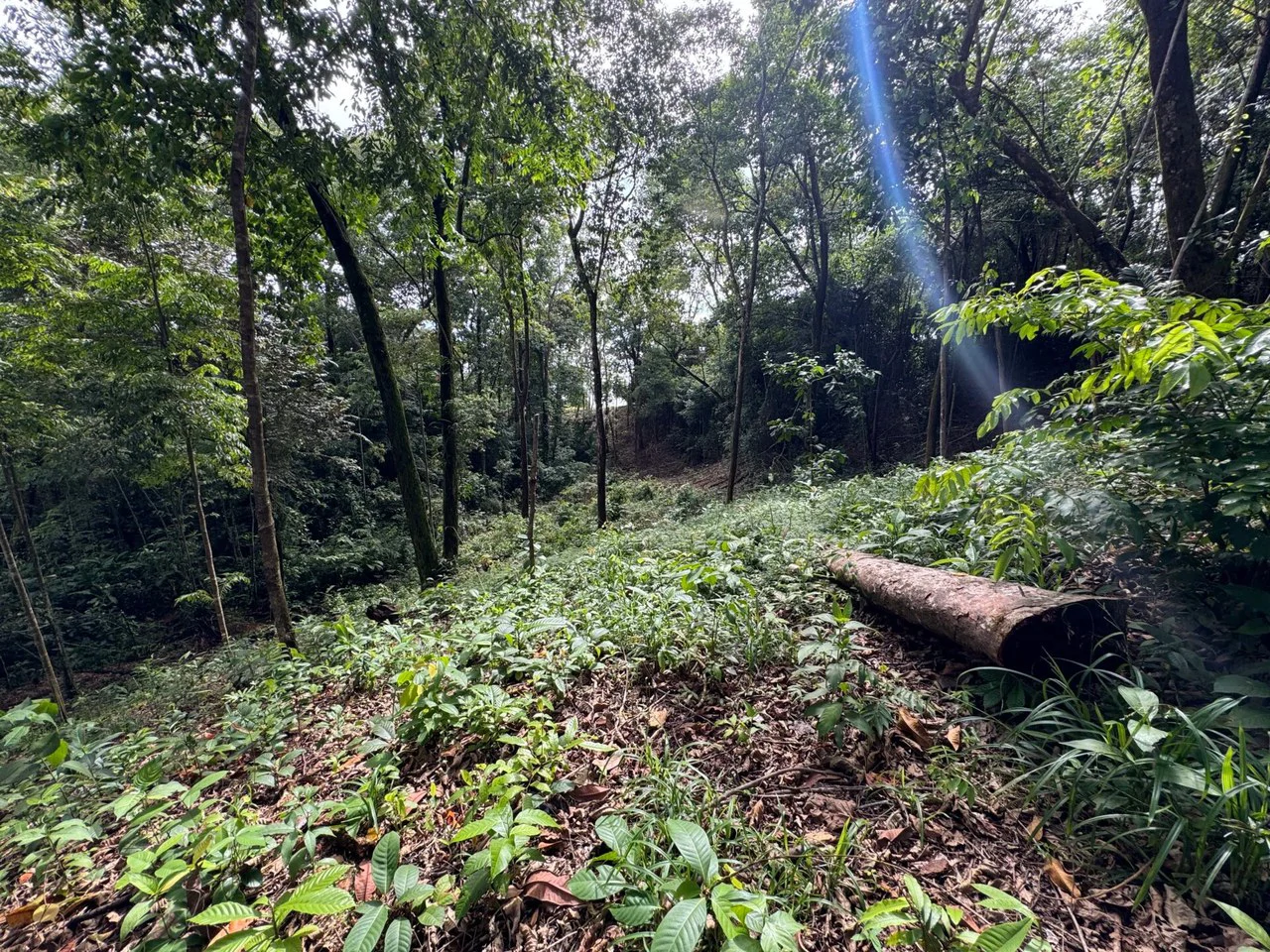 0.5 ACRES – Ocean View Property 1 Min Off Paved Highway In Escaleras Minutes To Dominical And Uvita!!!: Near the Coast and Mountain Home Construction Site For Sale in Dominical - Gallery image 7