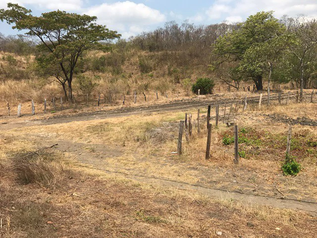 Great opportunity: Big property in Palmira de Carrillo - Gallery image 7