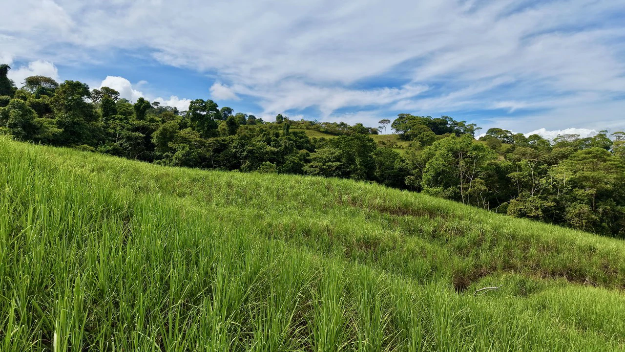 Home Construction Site For Sale in General Viejo - Gallery image 6