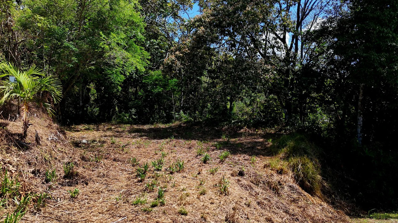 Ocean View Property with Plantel and Trails in Hatillo – Ready to Build: Mountain Home Construction Site For Sale in Hatillo - Gallery image 4
