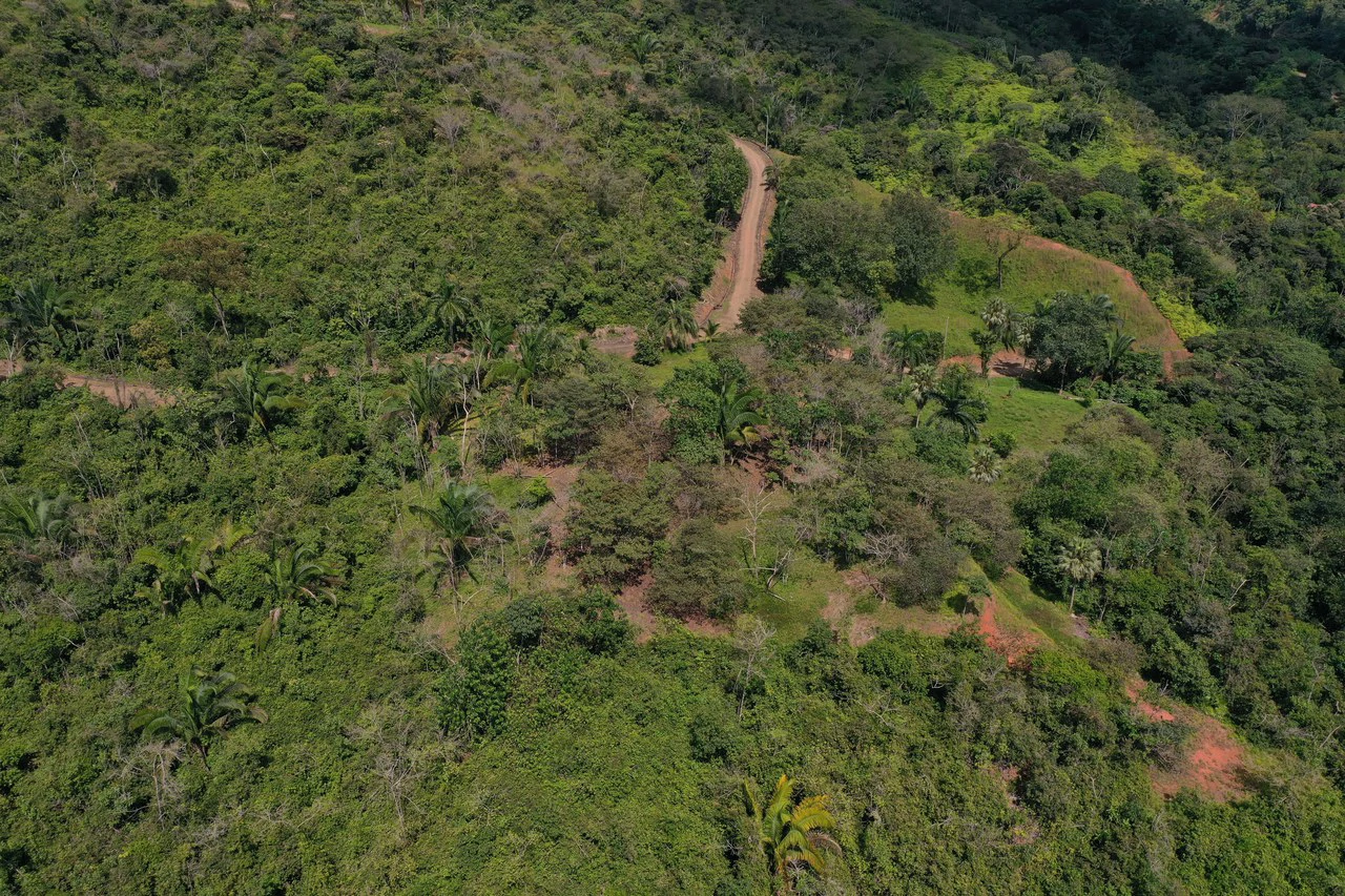12 Acre Farm in Private Agricultural Community South of Ojochal - Gallery image 4