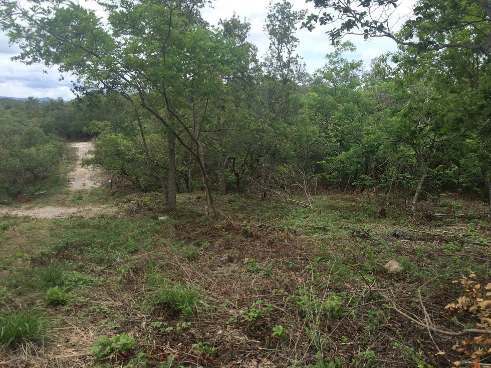 Finca grande: Economic Building property for sale in El Salto, with private access to the surrounding beautiful nature with own river - Gallery image 14