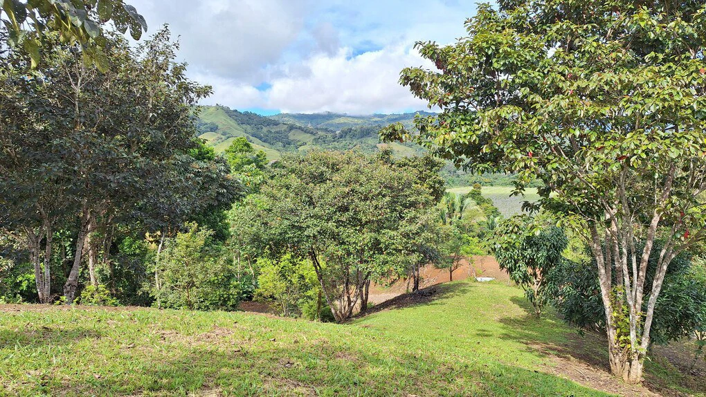 Countryside Home Construction Site For Sale in El Rosario de Pacuar - Gallery image 4
