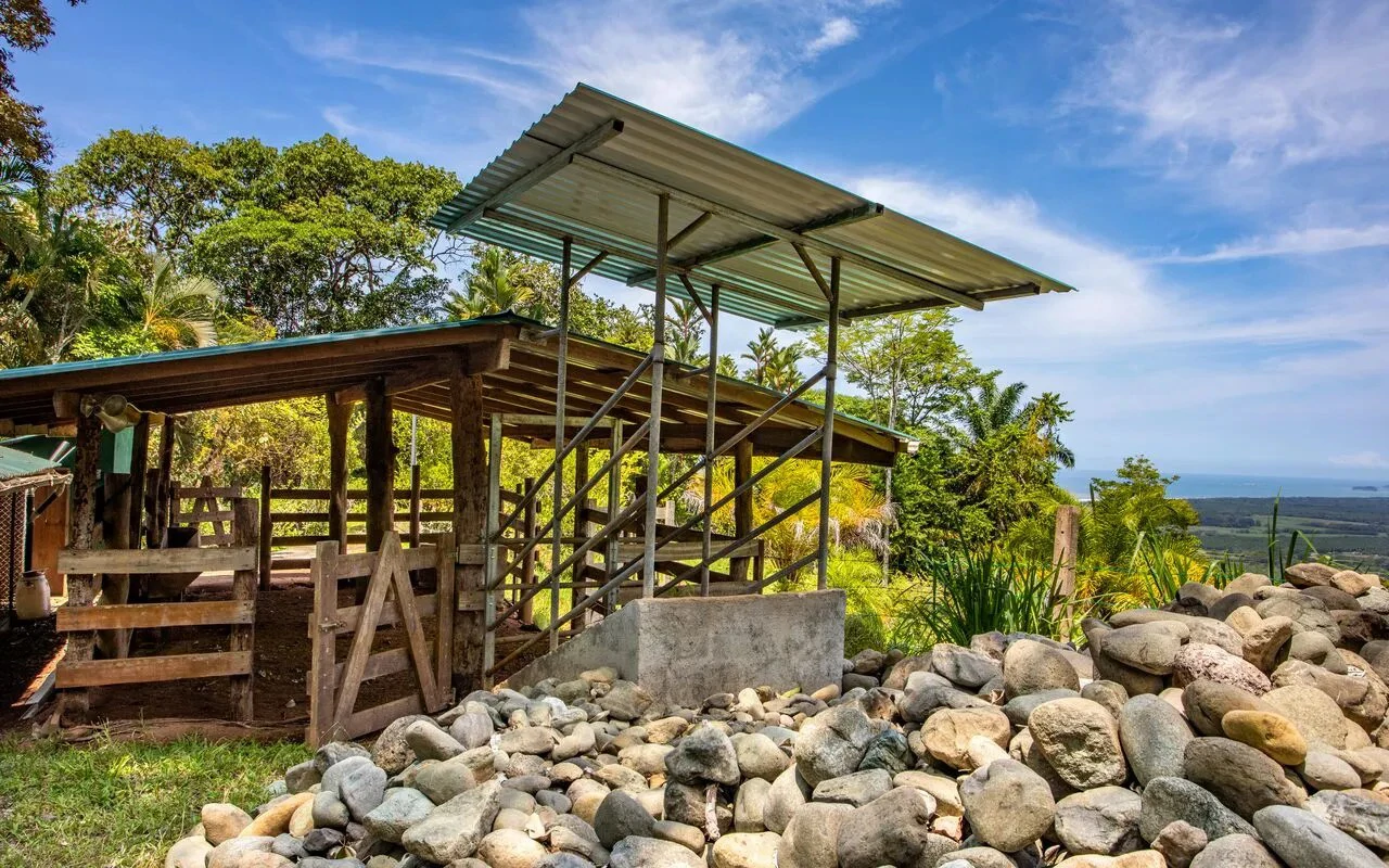 209 ACRES – 3 Bedroom 180 Degree Ocean View Home, Pool, And At Least 4 More Ocean View Building Sites!!!! - Gallery image 10