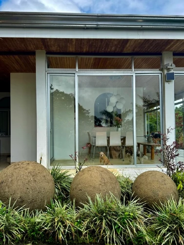 FLOWERS OF PARADISE - Artists Villa with Character - Gallery image 20