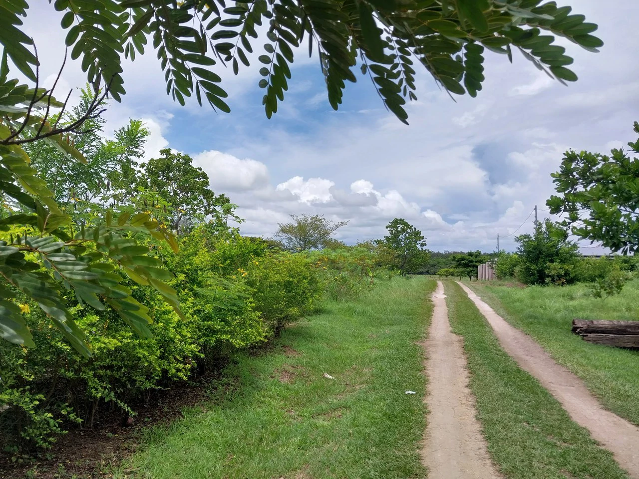 T-182: Volcano view and lot for Sale in Liberia - Gallery image 5
