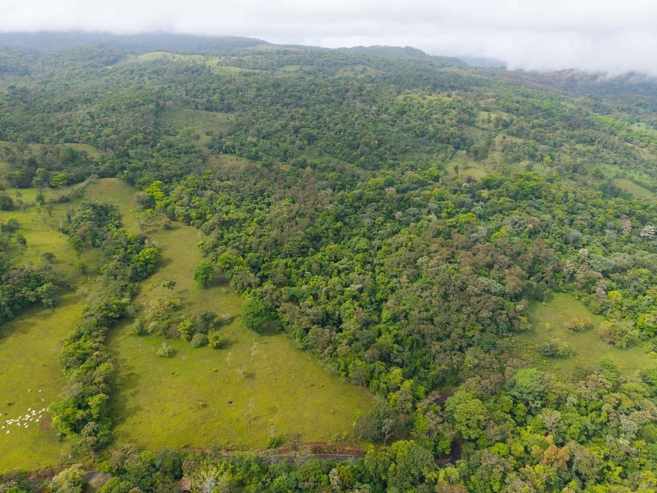 Finca Las Zompopas-Río Celeste: 113-Acre Biodiverse Property in Bijagua, Ideal for Eco-Tourism, Private Retreats, or Sustainable Development - Gallery image 32