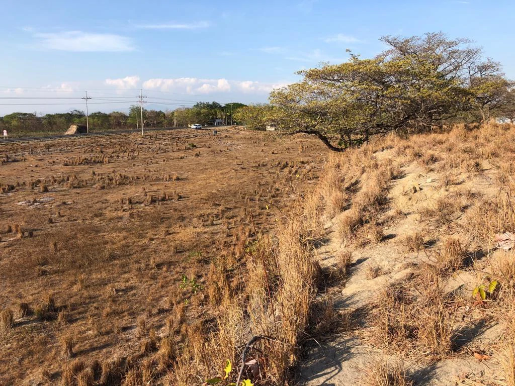 Airport Property - in front of route 21, Liberia - Gallery image 4