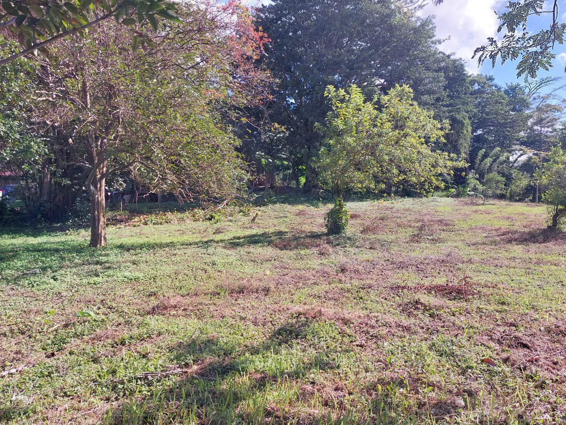 VISTA BAHIA : Newly remodelled Home on 3 acres lake view and public road front - Gallery image 4