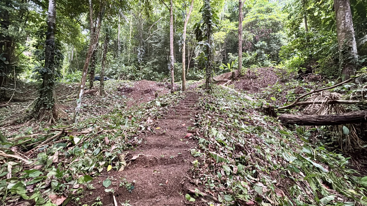 Unique property with creek and waterfall in lush jungle: Mountain Home Construction Site For Sale in Damas - photo 24