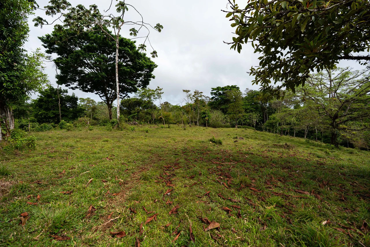 Finca Las Zompopas-Río Celeste: 113-Acre Biodiverse Property in Bijagua, Ideal for Eco-Tourism, Private Retreats, or Sustainable Development - Gallery image 3