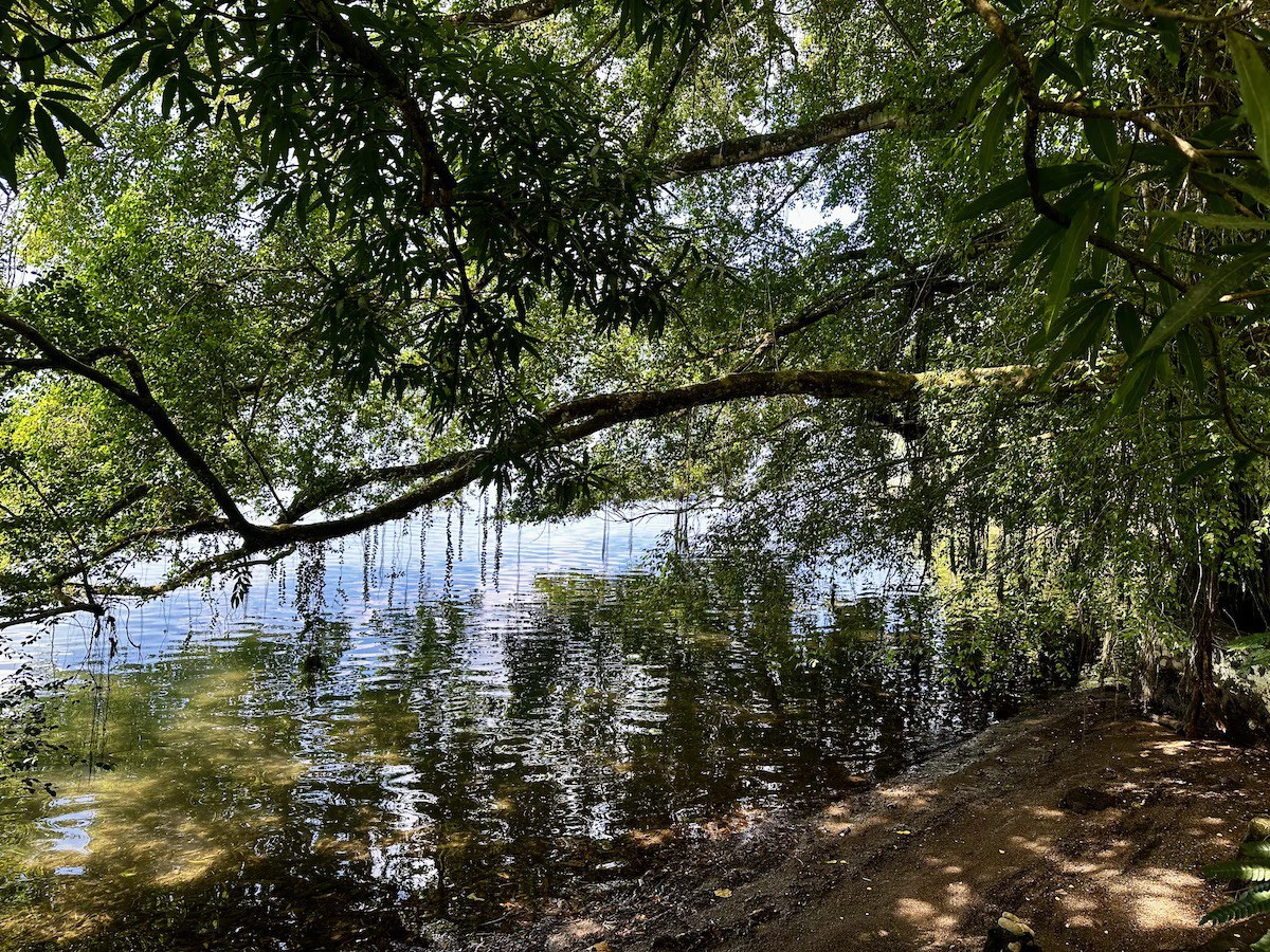 Titled Waterfront Property Golfito Bay - Gallery image 21