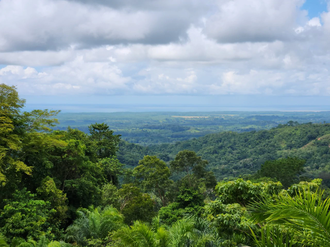 PRIME PARRITA FARM FOR SALE - Gallery image 11