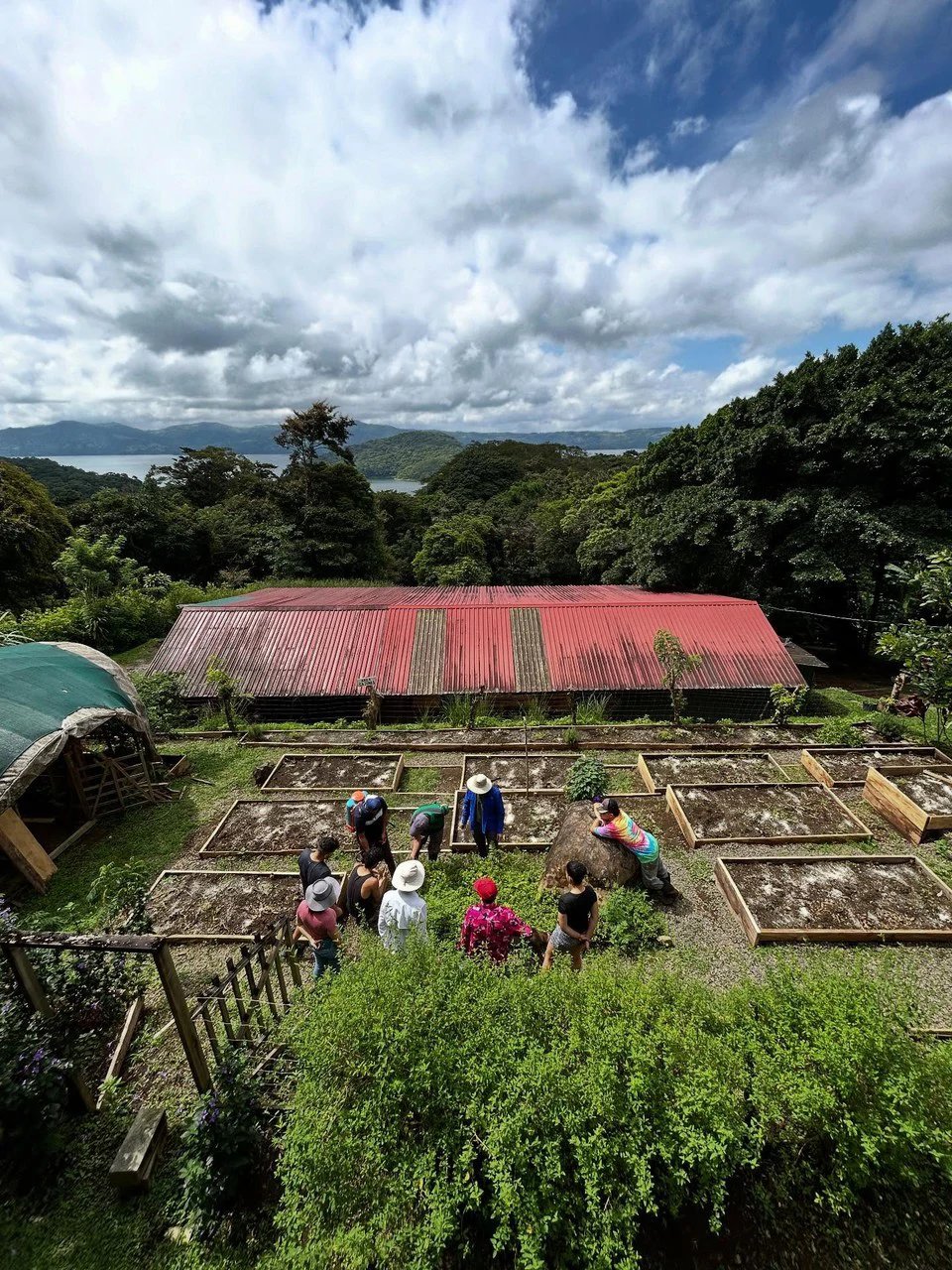 NATURES BOUNTY - Certified Organic Farm - Gallery image 13