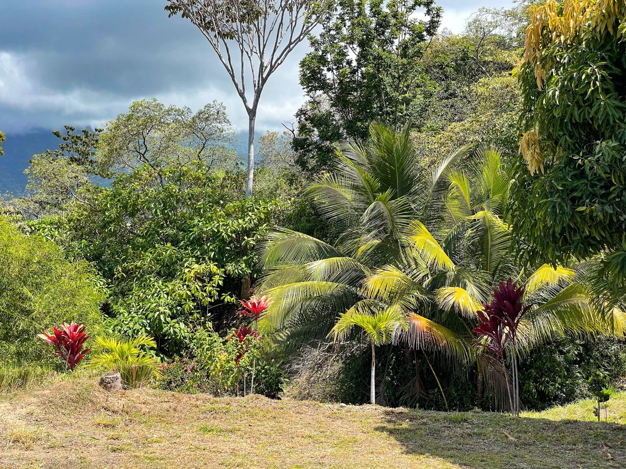 Whitewater Ocean View Front Ridge Land in Ojochal - Gallery image 9