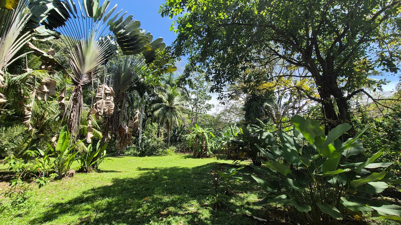 Dream Beachfront Property at Ballena Beach in Uvita, Costa Rica - Gallery image 20