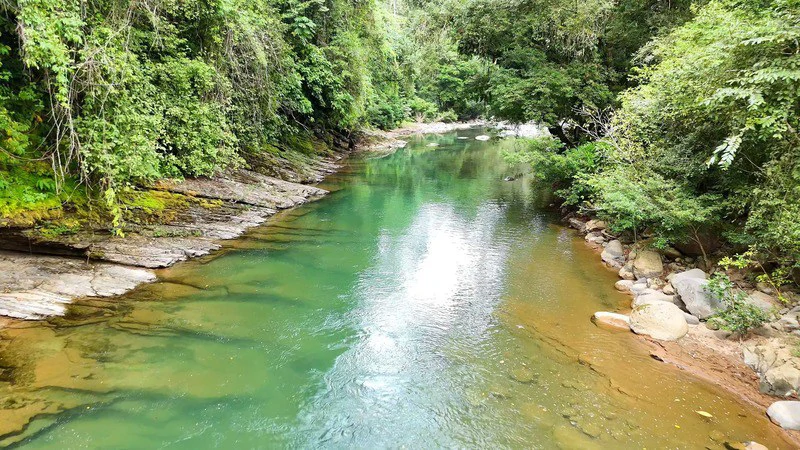 Finca Makambu: Countryside, Mountain, Near the Coast and Riverfront Property For Sale in Barú - Gallery image 24