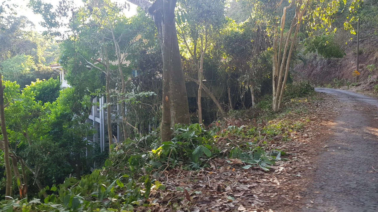 Building Lot in Manuel Antonio, Surrounded by Nature - Gallery image 8
