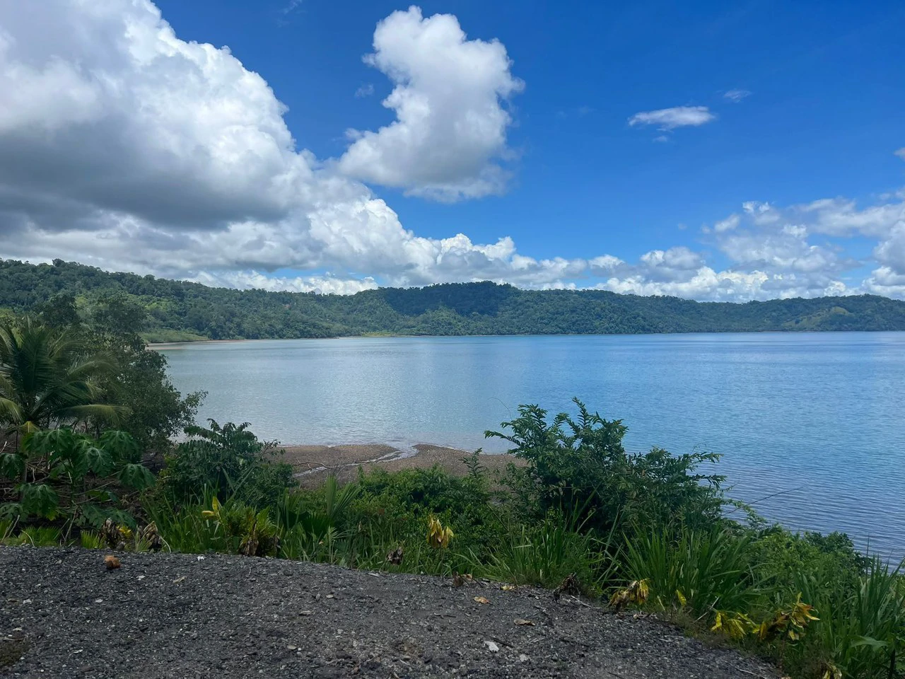 Finca La Palma, Puerto Jimenez: Excellent location ideal for development - Gallery image 15