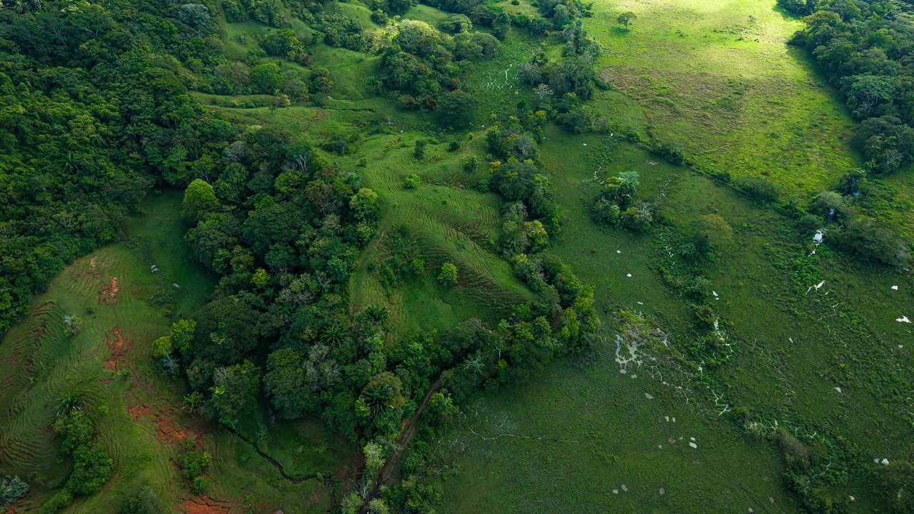 4,850 Acre Beachfront Legacy Ranch Esterillos Central Pacific Coast - Gallery image 14