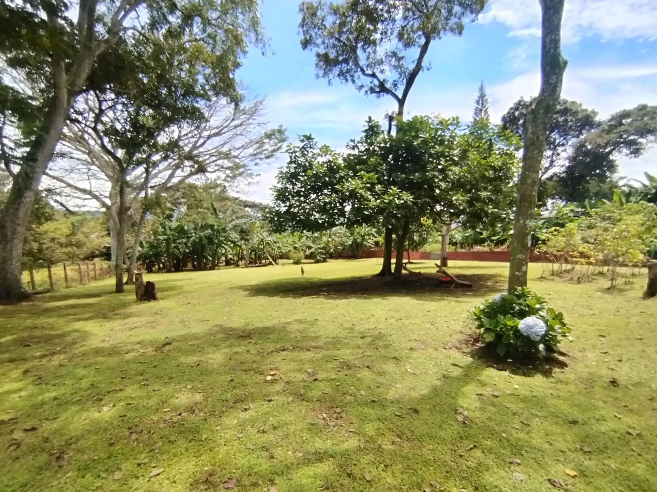 Natural Urban Escape: Home in the city with land! - Gallery image 7