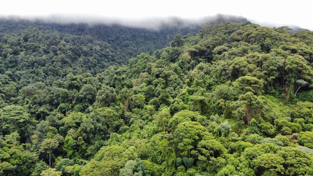 Se vende 39ha en Barú, Perez Zeledón: Mountain Home Construction Site For Sale in Barú - Gallery image 13