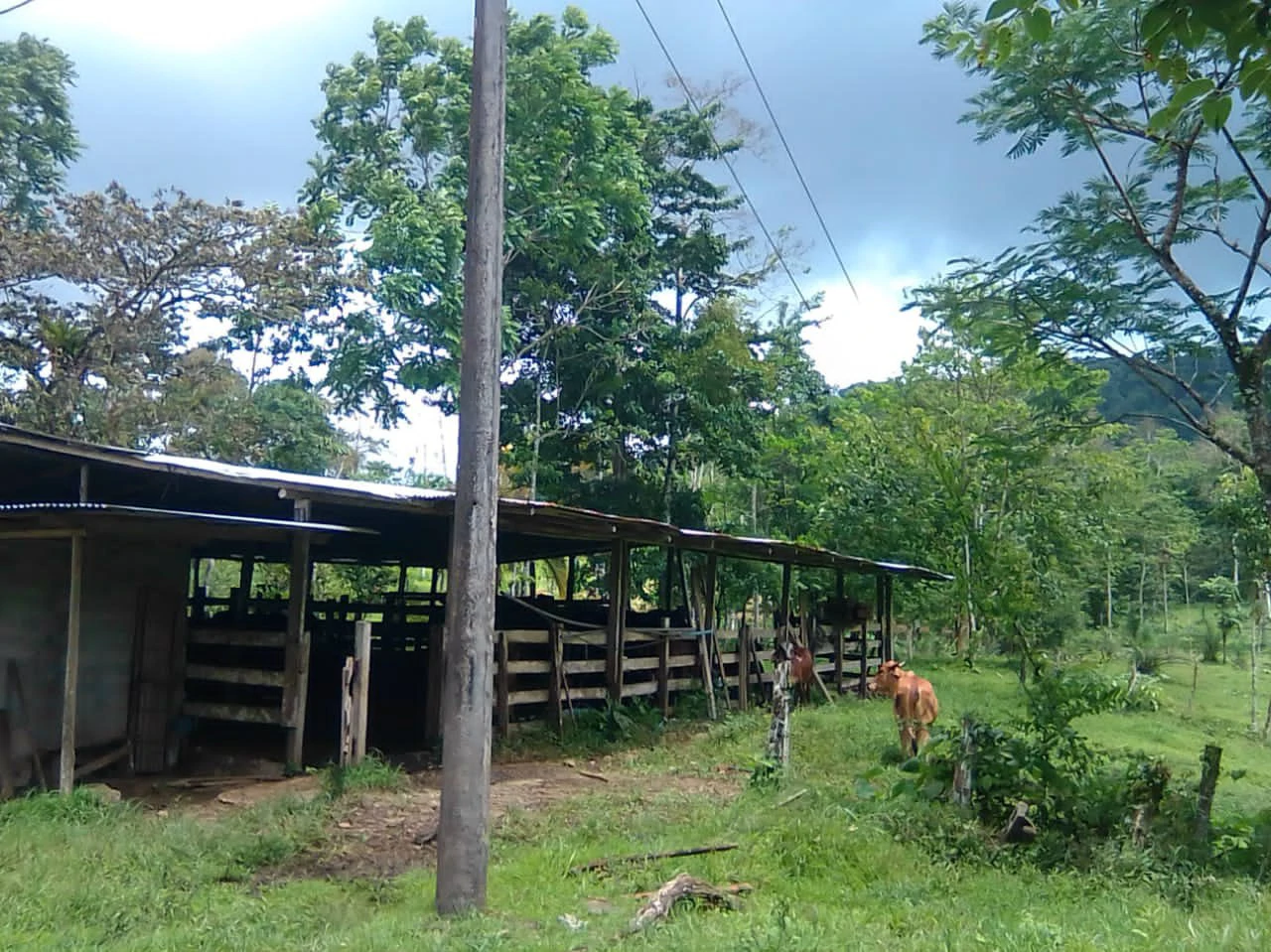 Cattle farm for sale in Aguas Claras with 1 corral and enchanting views - Gallery image 15