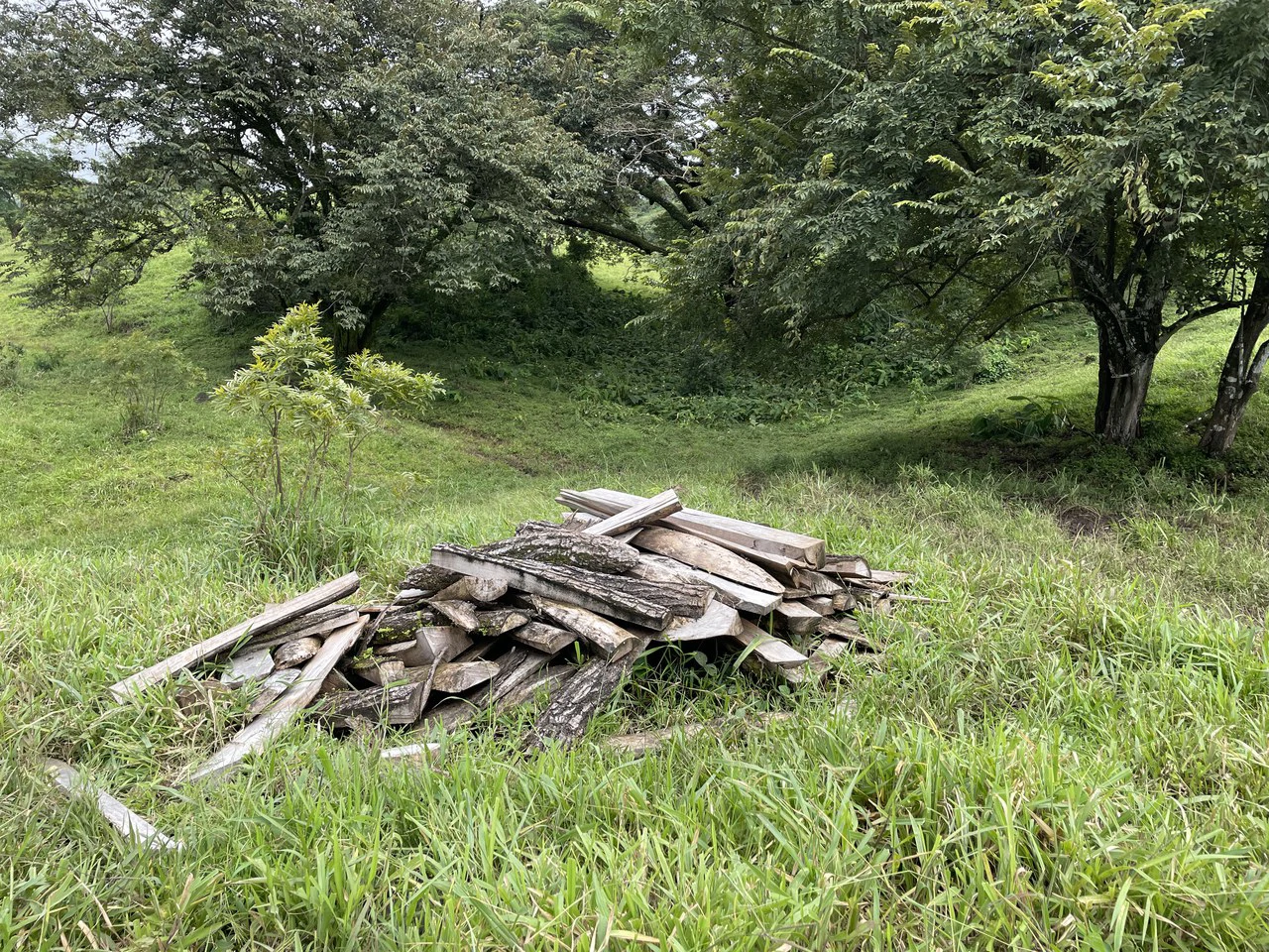 10 acre Dream Mountain Farmland near Monteverde - Gallery image 9