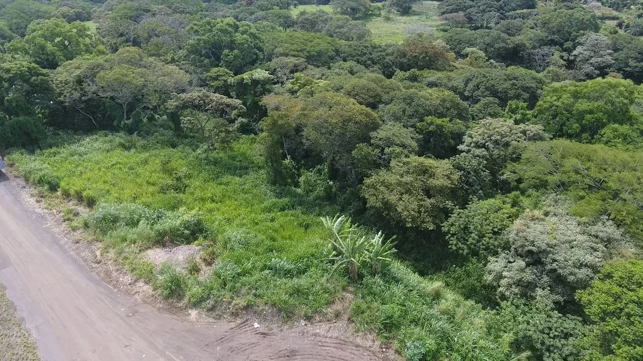 Home Construction Site For Sale in La Garita - Gallery image 5