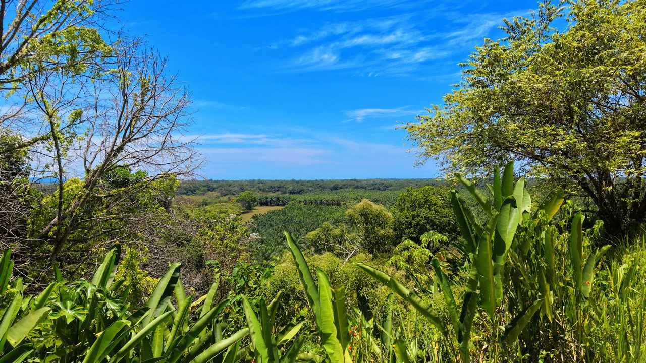 Near the Coast Home Construction Site For Sale in Ciudad Cortés - Gallery image 19