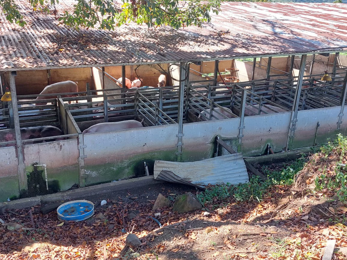 HACIENDA LOMBARDIA : Fully Operating Livestock Business - Gallery image 8