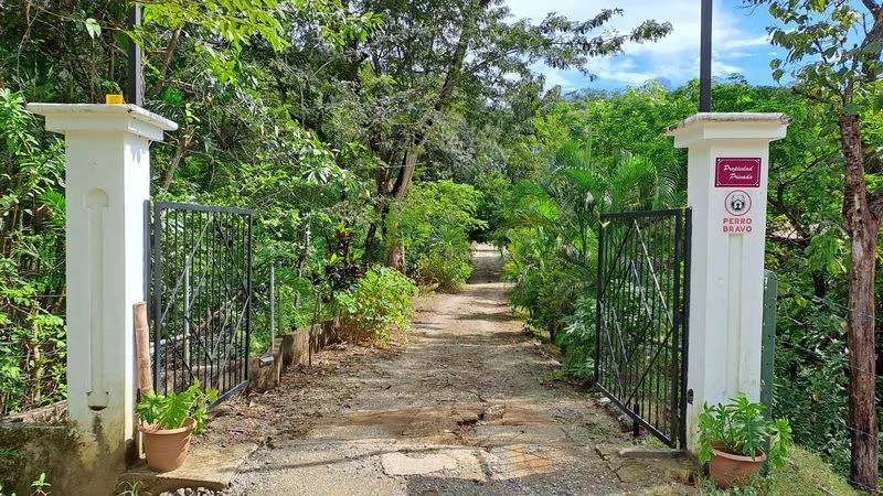Casas Jungle: Charming Rental Compound with 5 units & pool in the heart of nature, minutes from Samara’s beaches - Gallery image 7