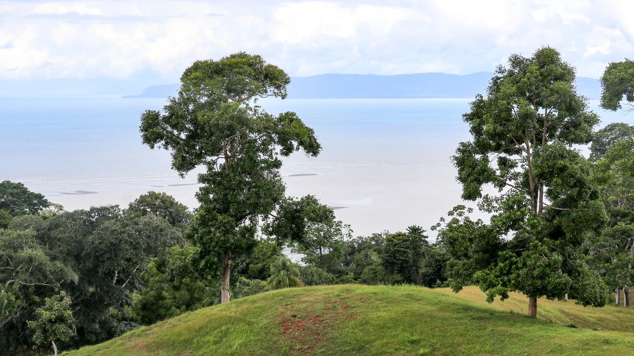Unique Development Property Overlooking the Pristine Golfito Bay and Golfo Dulce - Gallery image 28