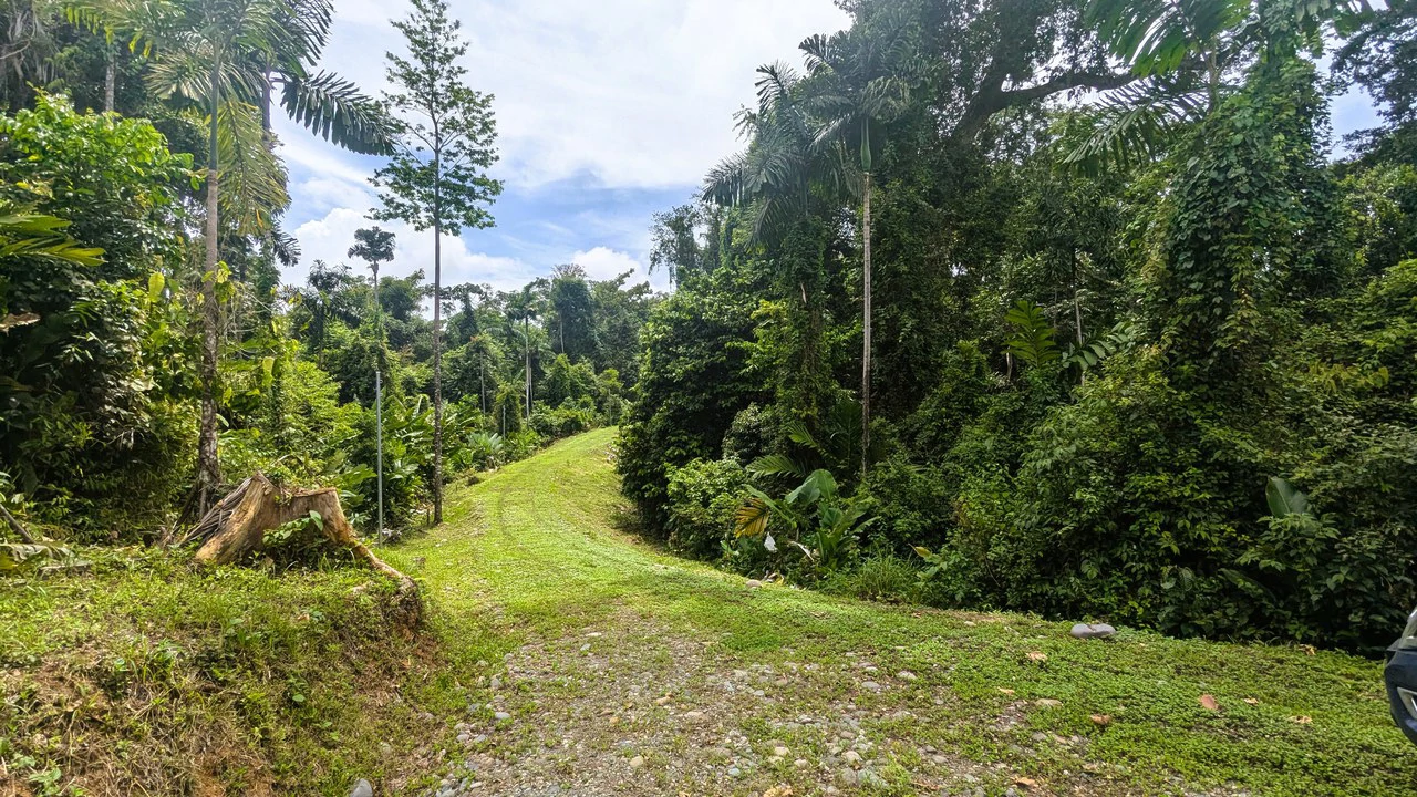 ID 4202: Affordable Lot inside the Gated Community with Owner Financing available - Gallery image 7