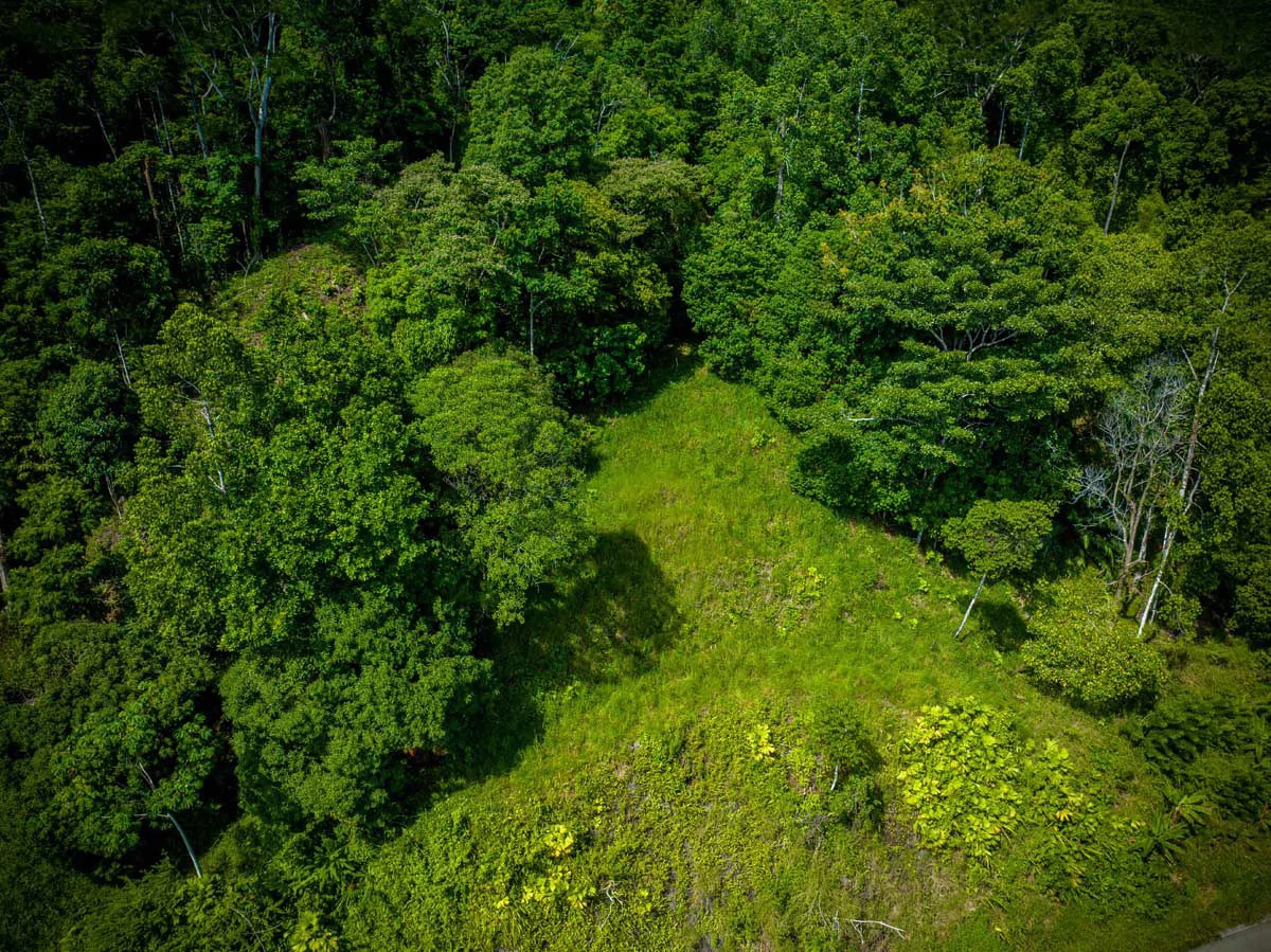 Rincon Mountain Land Gulf View | A Breathtaking Landscapes of Rincon - Gallery image 14