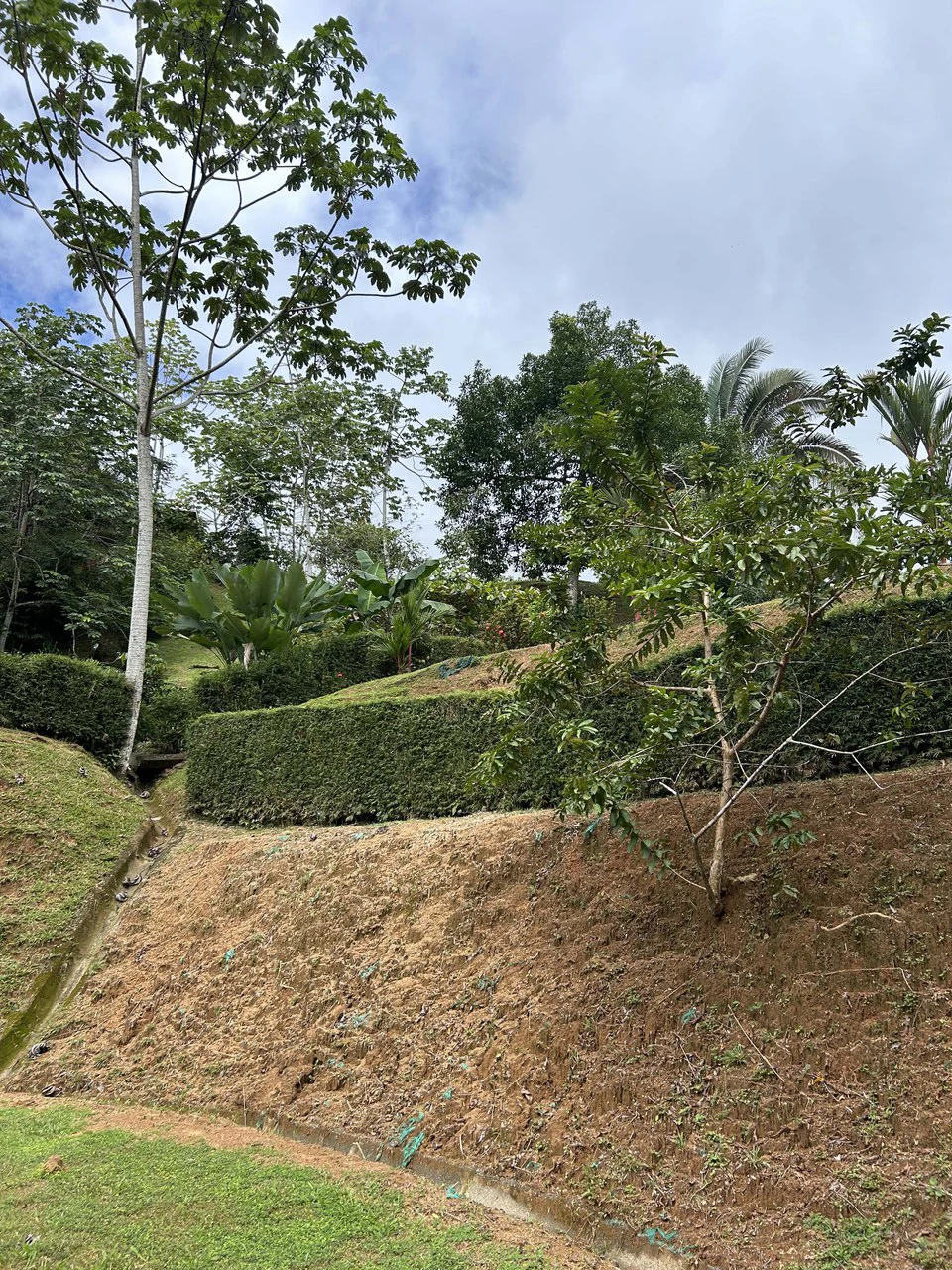 Playa Hermosa: Two Locations to Build, Permits Ready - Gallery image 26