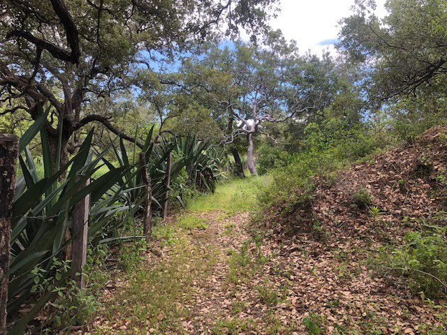 Mountain Farm for Sale in Liberia – Nature, Privacy, and High Investment Potential - Gallery image 12