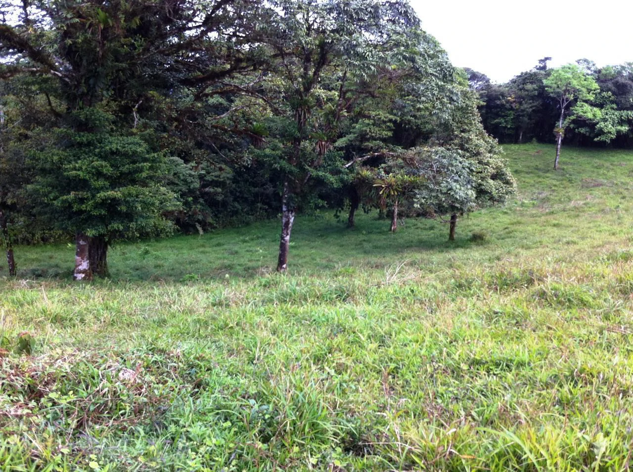 RINCON DEL PATO -  Hobby Farmers delight - Gallery image 5